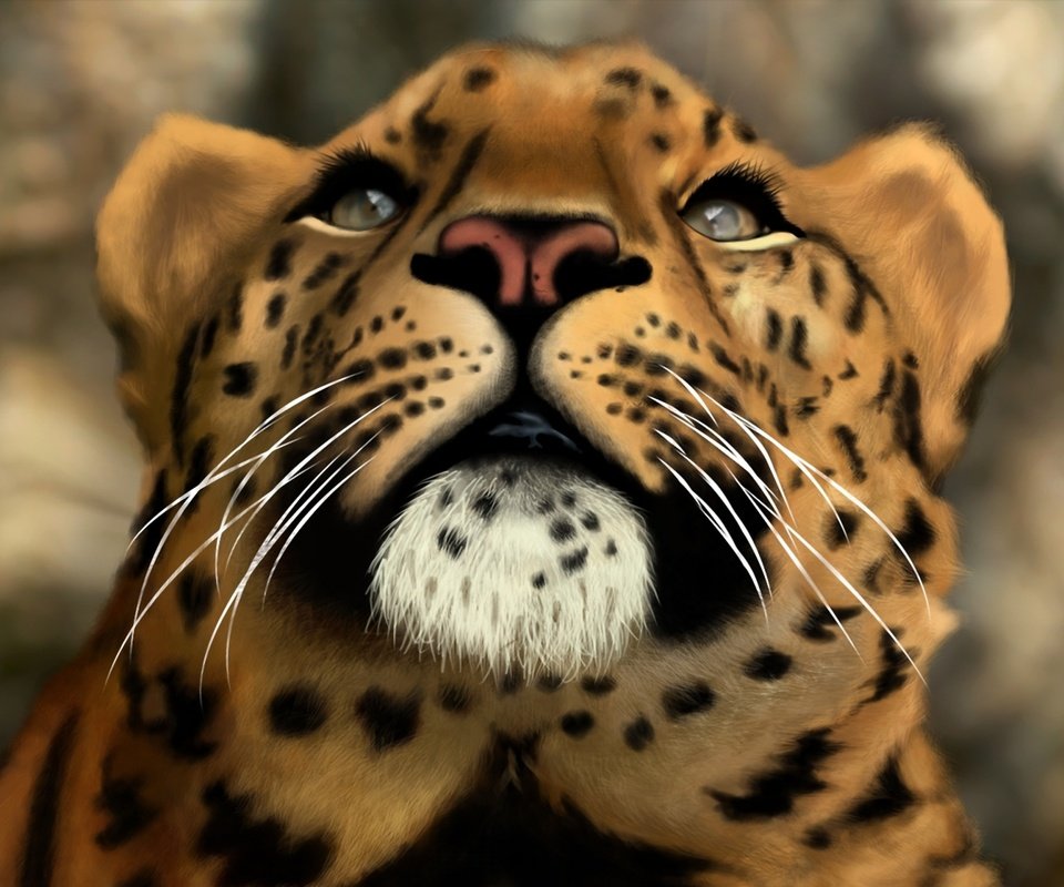 Обои морда, арт, кошка, леопард, хищник, face, art, cat, leopard, predator разрешение 2560x1600 Загрузить