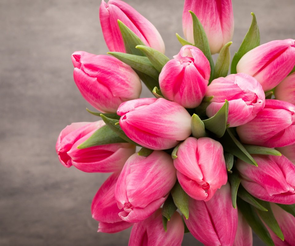 Обои цветы, букет, тюльпаны, розовые, красива, тульпаны,  цветы, парное, весенние, flowers, bouquet, tulips, pink, beautiful, fresh, spring разрешение 5472x3648 Загрузить