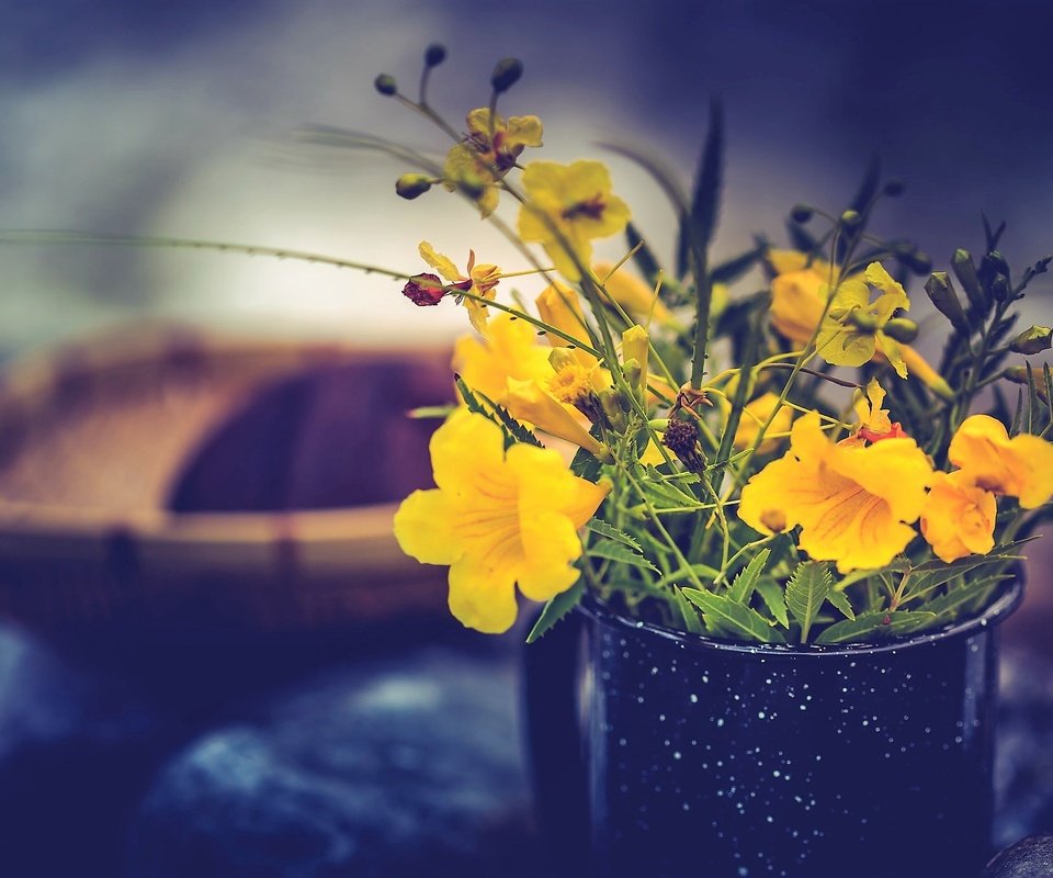 Обои цветы, кружка, желтые, букетик, flowers, mug, yellow, a bunch разрешение 2048x1365 Загрузить