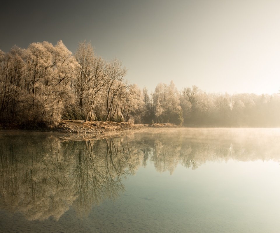 Обои деревья, озеро, лес, зима, туман, trees, lake, forest, winter, fog разрешение 2560x1613 Загрузить