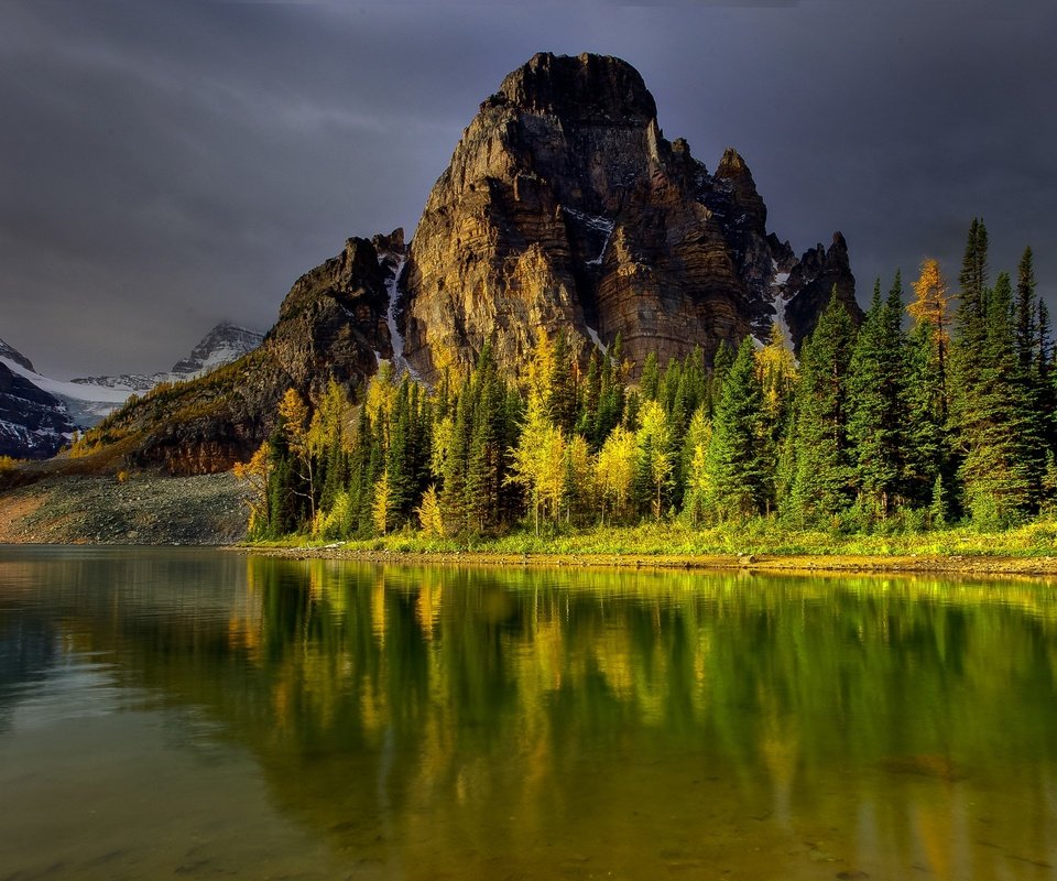 Обои небо, деревья, озеро, горы, лес, отражение, водоем, the sky, trees, lake, mountains, forest, reflection, pond разрешение 2560x1600 Загрузить