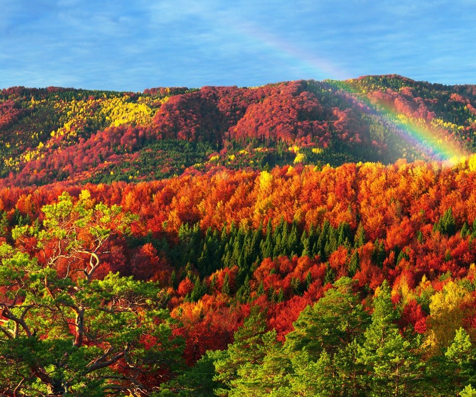 Обои горы, природа, лес, осень, радуга, карпаты, mountains, nature, forest, autumn, rainbow, carpathians разрешение 2880x1800 Загрузить