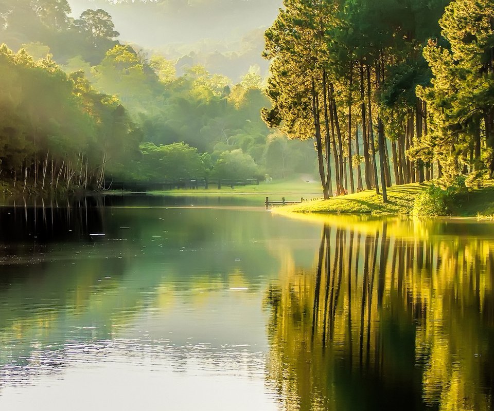 Обои деревья, вода, река, природа, туман, озёра, покой, trees, water, river, nature, fog, lake, peace разрешение 1920x1200 Загрузить