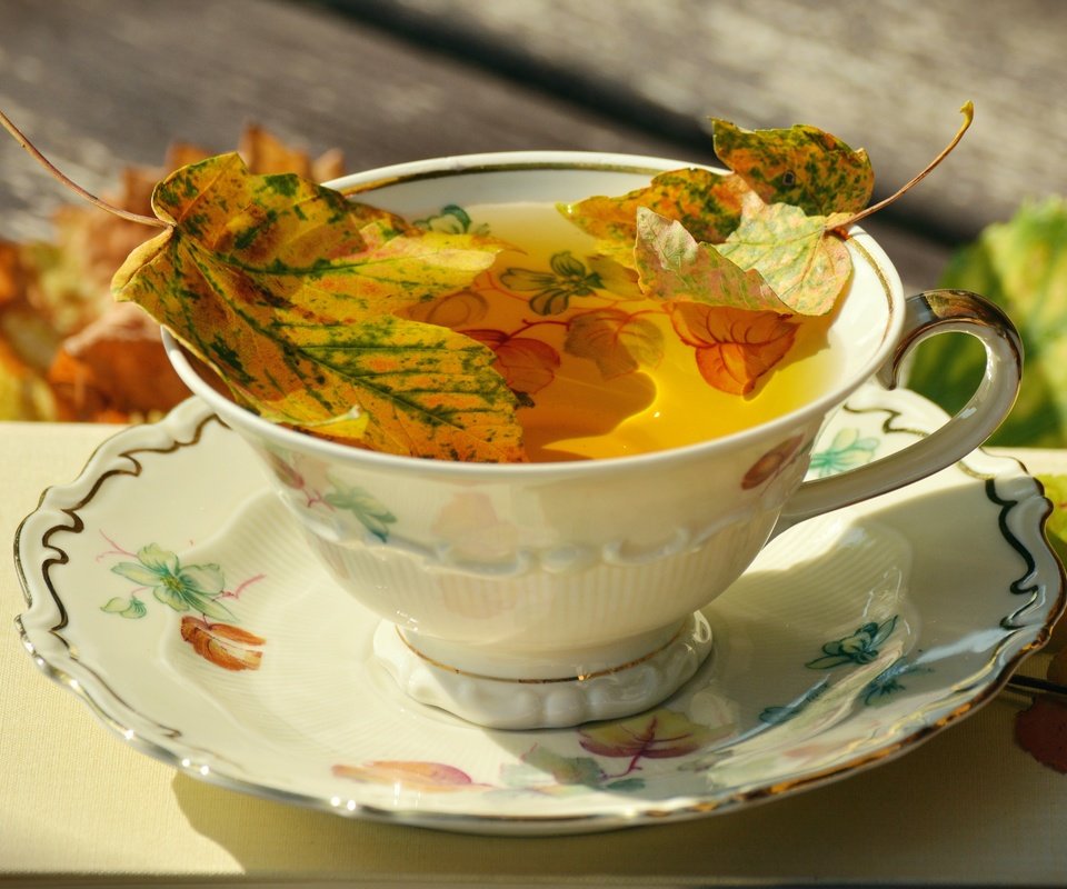 Обои блюдце, чашка, чай, фарфор, осенние листья, saucer, cup, tea, porcelain, autumn leaves разрешение 6000x3241 Загрузить