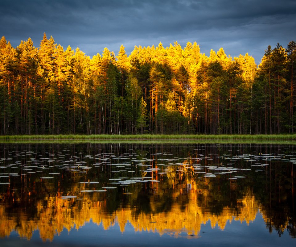 Обои небо, деревья, озеро, природа, лес, отражение, осень, the sky, trees, lake, nature, forest, reflection, autumn разрешение 4188x2781 Загрузить