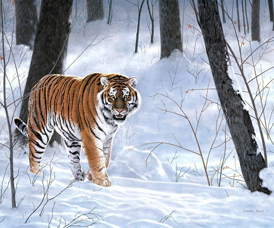Обои тигр, снег, лес, зима, животные, тайга, живопись, emperor of siberia, charles frace, tiger, snow, forest, winter, animals, taiga, painting разрешение 2410x1775 Загрузить