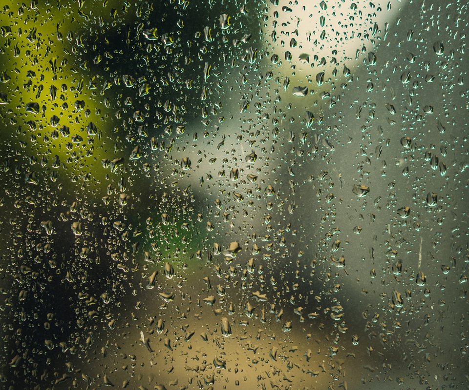 Обои вода, макро, капли, дождь, стекло, water, macro, drops, rain, glass разрешение 1920x1200 Загрузить