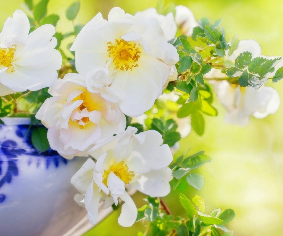 Обои цветы, ветки, лепестки, шиповник, ваза, flowers, branches, petals, briar, vase разрешение 2048x1435 Загрузить
