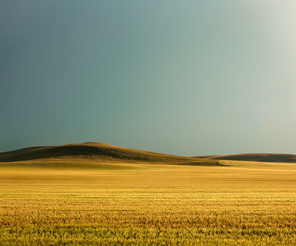 Обои todd klassy, небо, природа, поле, горизонт, сша, пшеница, холм, монтана, the sky, nature, field, horizon, usa, wheat, hill, montana разрешение 2048x1365 Загрузить