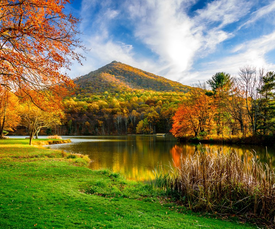 Обои трава, деревья, озеро, гора, осень, grass, trees, lake, mountain, autumn разрешение 3000x1991 Загрузить