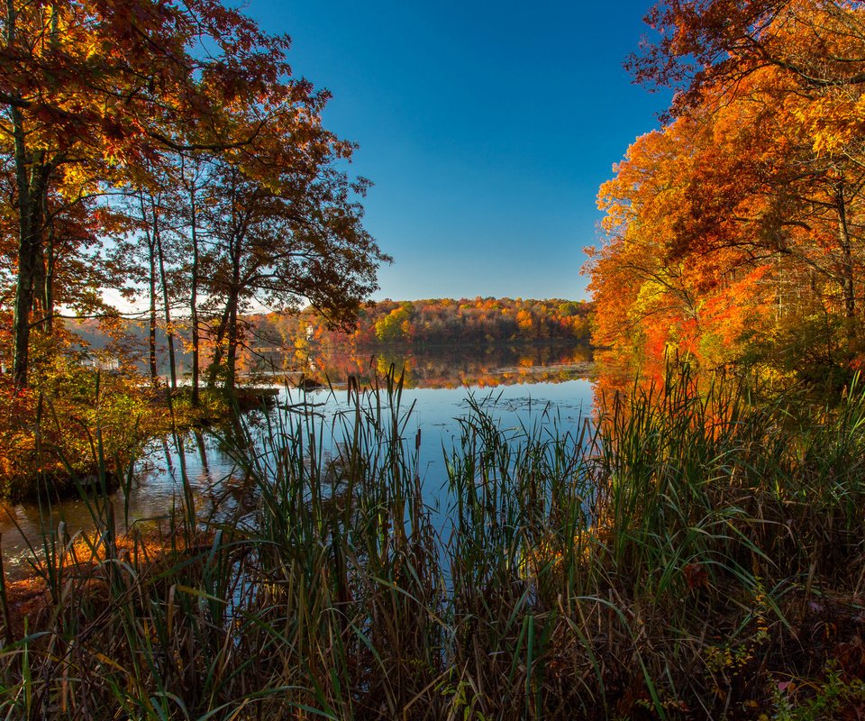 Обои трава, ice lakes, деревья, озеро, природа, осень, сша, колорадо, осень. озеро, grass, trees, lake, nature, autumn, usa, colorado, autumn. lake разрешение 3600x2200 Загрузить