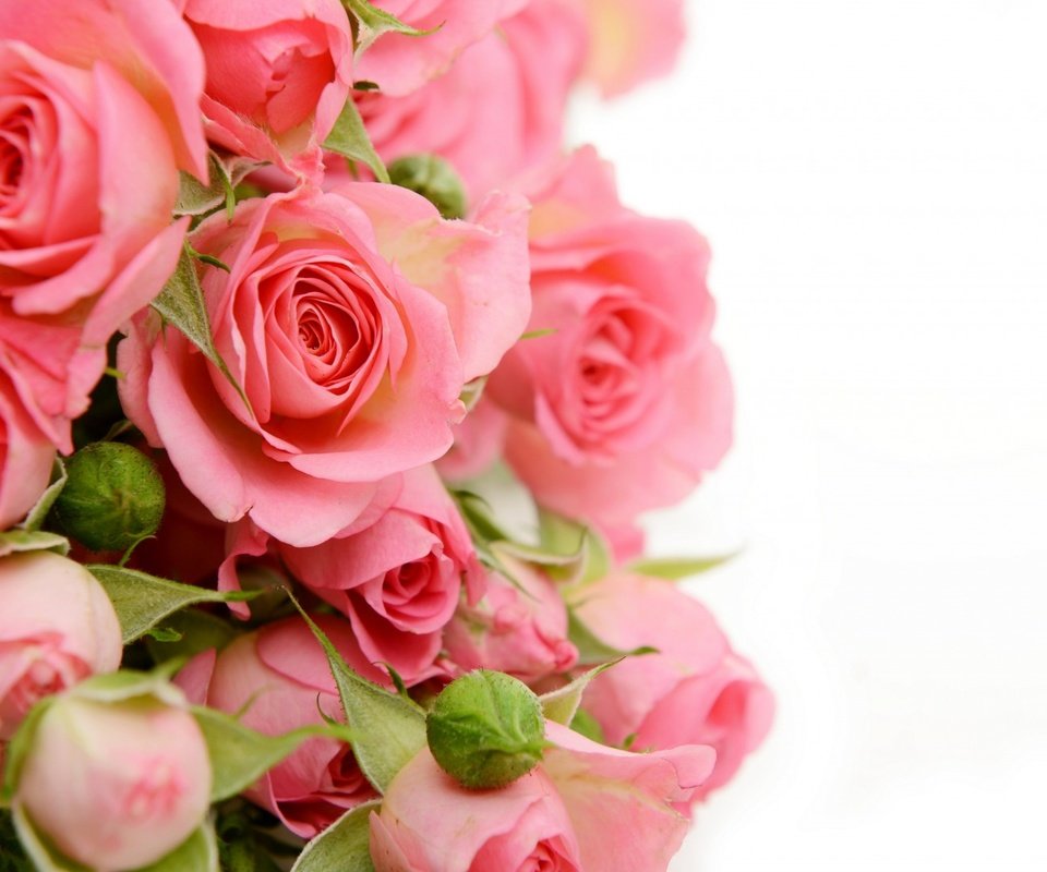 Обои цветы, бутоны, розы, бутон, букет, flowers, buds, roses, bud, bouquet разрешение 1920x1080 Загрузить