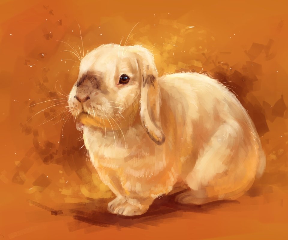 Обои рисунок, фон, мордочка, взгляд, кролик, животное, уши, заяц, figure, background, muzzle, look, rabbit, animal, ears, hare разрешение 2560x1930 Загрузить