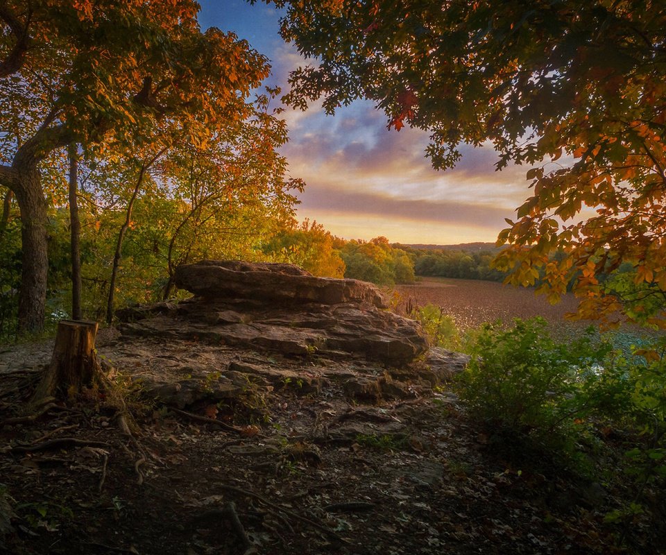 Обои природа, лес, парк, осень, nature, forest, park, autumn разрешение 1920x1200 Загрузить