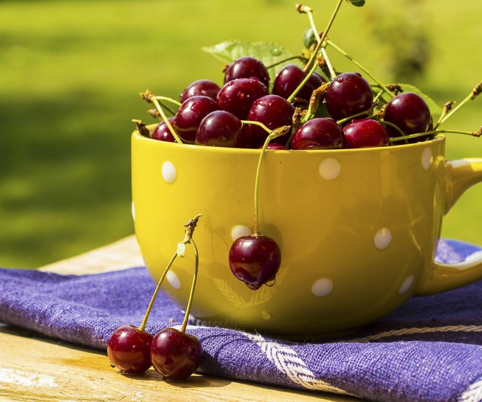 Обои ягода, черешня, вишня, сочная, вкусная, berry, cherry, juicy, delicious разрешение 2048x1344 Загрузить