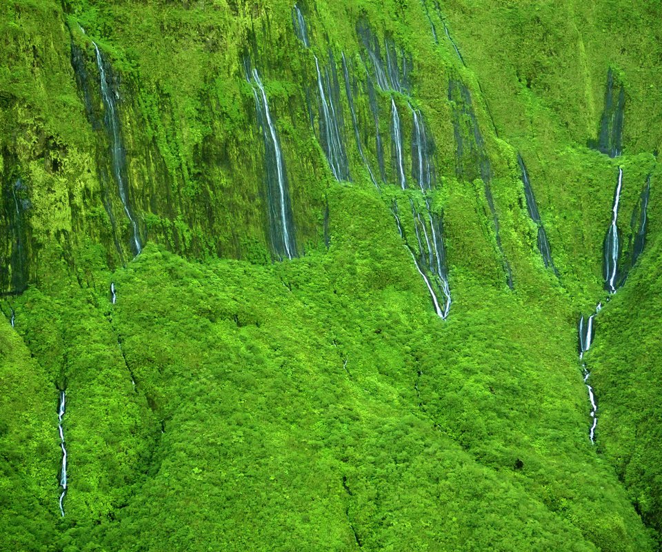 Обои природа, склон, водопады, гаваи, мауи, wall of tears' waterfalls, nature, slope, waterfalls, hawaii, maui разрешение 2560x1600 Загрузить