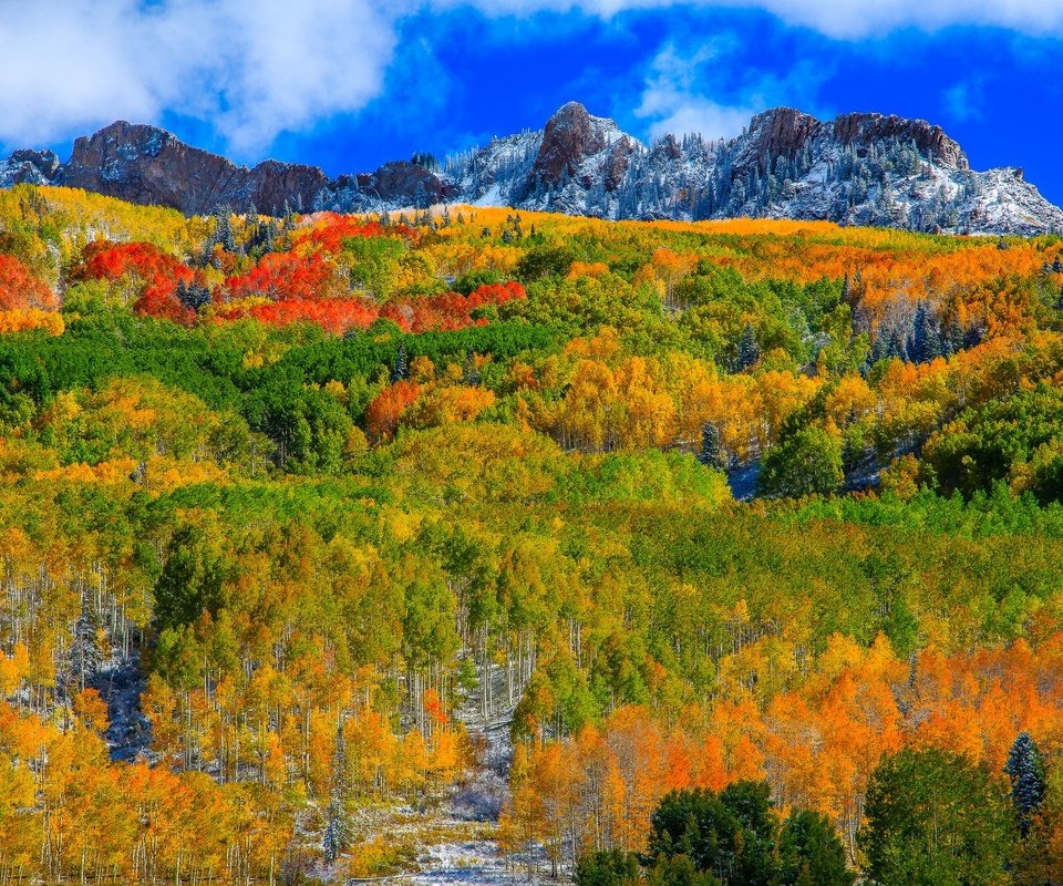 Обои небо, аспен, облака, горы, лес, склон, осень, сша, колорадо, the sky, aspen, clouds, mountains, forest, slope, autumn, usa, colorado разрешение 2048x1208 Загрузить