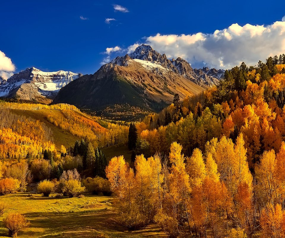 Обои небо, облака, деревья, горы, природа, лес, осень, колорадо, the sky, clouds, trees, mountains, nature, forest, autumn, colorado разрешение 1920x1200 Загрузить