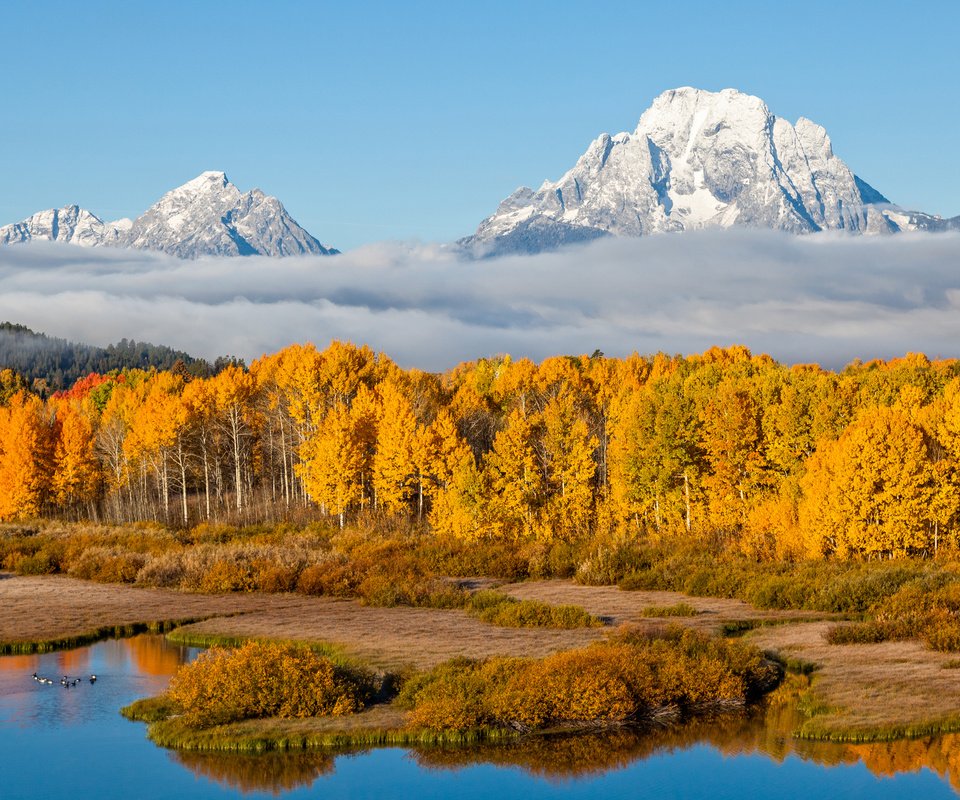 Обои небо, осень, деревья, река, горы, природа, лес, пейзаж, туман, the sky, autumn, trees, river, mountains, nature, forest, landscape, fog разрешение 3840x2400 Загрузить