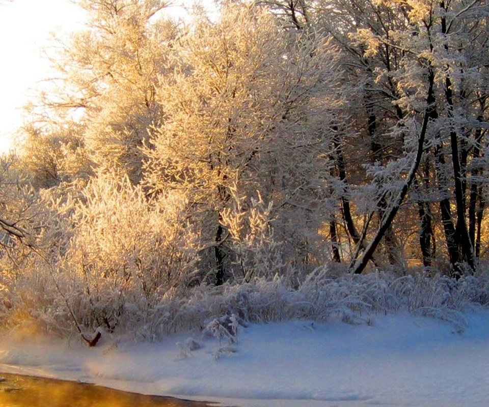 Обои свет, река, лес, зима, отражение, иней, оранжевый, седина, light, river, forest, winter, reflection, frost, orange, gray разрешение 3840x1200 Загрузить