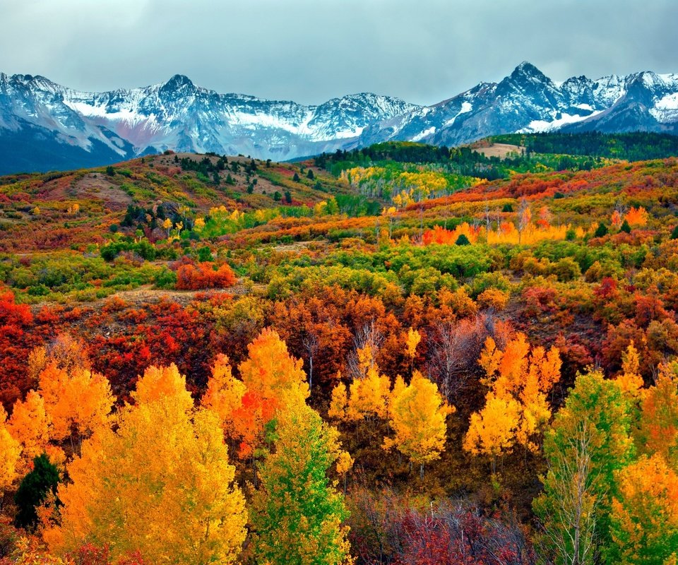 Обои небо, деревья, горы, снег, лес, осень, the sky, trees, mountains, snow, forest, autumn разрешение 3000x2000 Загрузить