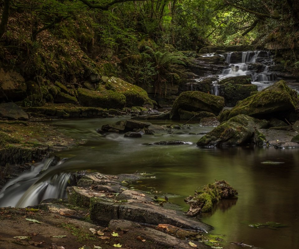 Обои река, природа, камни, водопад, мох, river, nature, stones, waterfall, moss разрешение 3600x2288 Загрузить