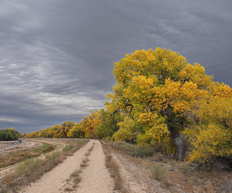 Обои дорога, деревья, природа, осень, road, trees, nature, autumn разрешение 2048x1365 Загрузить