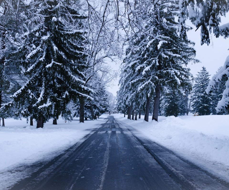 Обои дорога, деревья, снег, природа, зима, ель, road, trees, snow, nature, winter, spruce разрешение 4869x2739 Загрузить