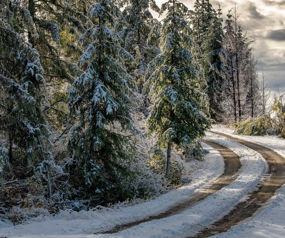 Обои дорога, лес, зима, road, forest, winter разрешение 3840x2160 Загрузить