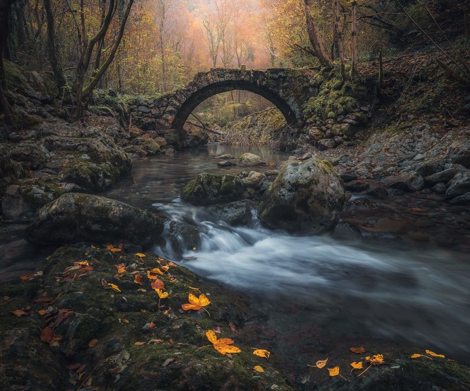 Обои река, мост, осень, river, bridge, autumn разрешение 2048x1300 Загрузить