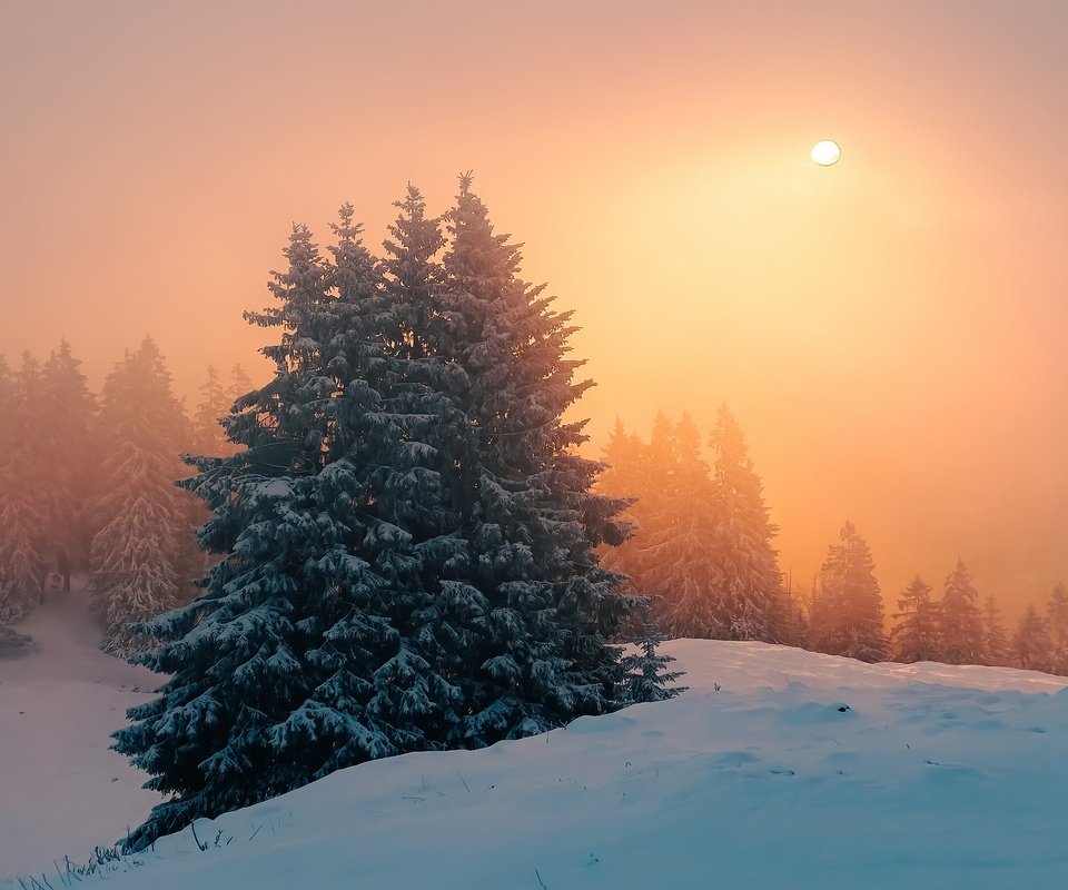 Обои закат, зима, туман, sunset, winter, fog разрешение 3072x1728 Загрузить
