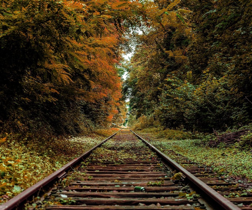 Обои железная дорога, рельсы, осень, railroad, rails, autumn разрешение 3840x2160 Загрузить