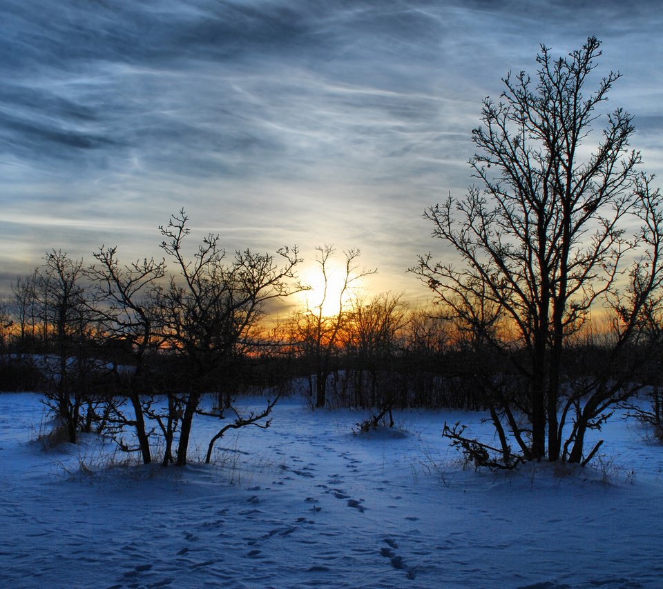 Обои деревья, вечер, снег, природа, закат, зима, пейзаж, мороз, trees, the evening, snow, nature, sunset, winter, landscape, frost разрешение 2560x1600 Загрузить