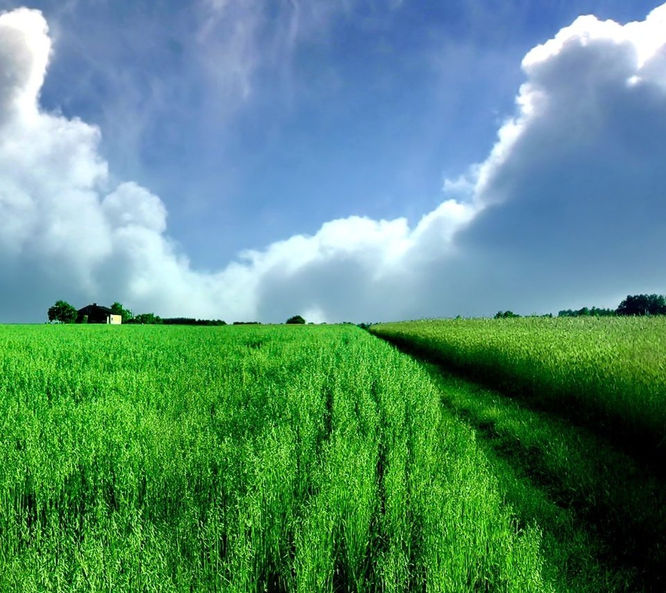 Обои облака, зелёный, поле, панорама, clouds, green, field, panorama разрешение 3840x1024 Загрузить