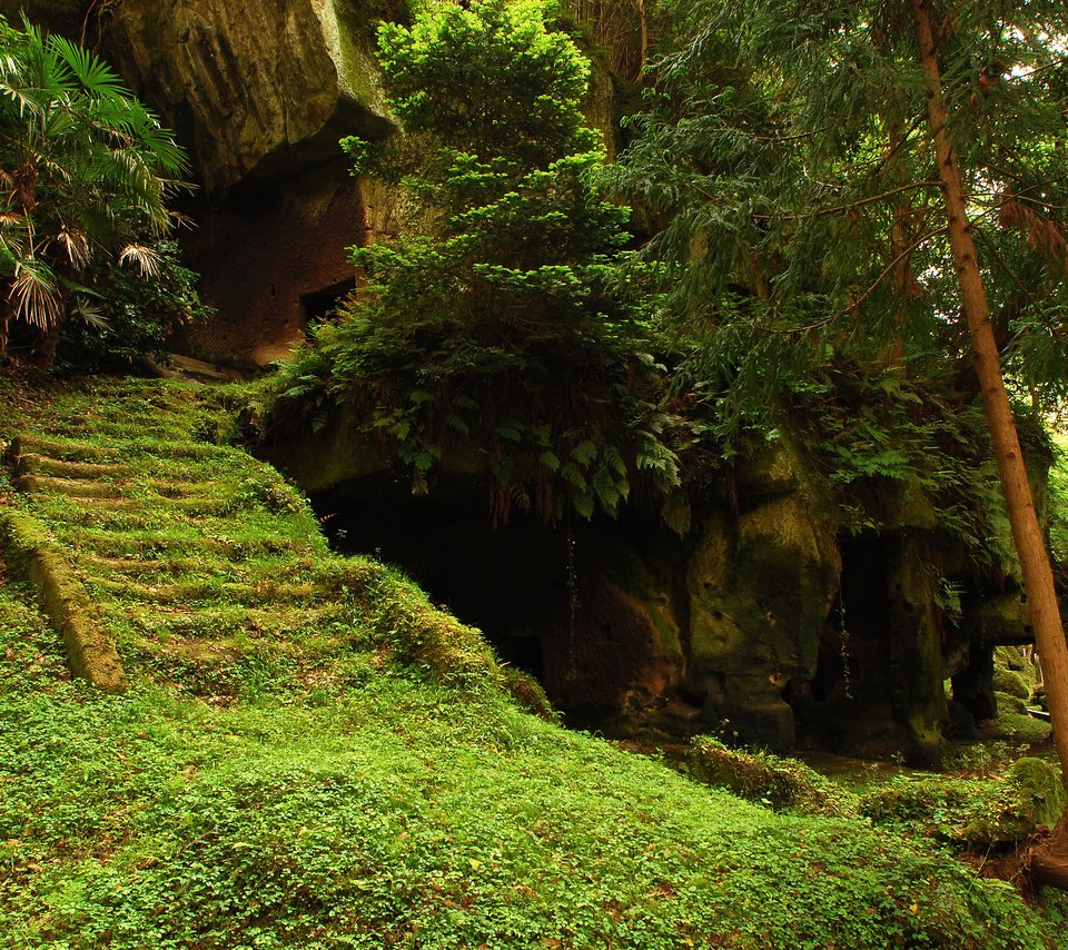 Обои деревья, лес, храм, лестница, ступеньки, руины, мох, trees, forest, temple, ladder, steps, ruins, moss разрешение 2560x1600 Загрузить