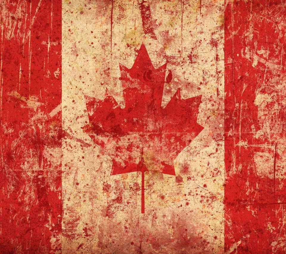 Обои флаг, канада, кленовый лист, flag, canada, maple leaf разрешение 2560x1600 Загрузить