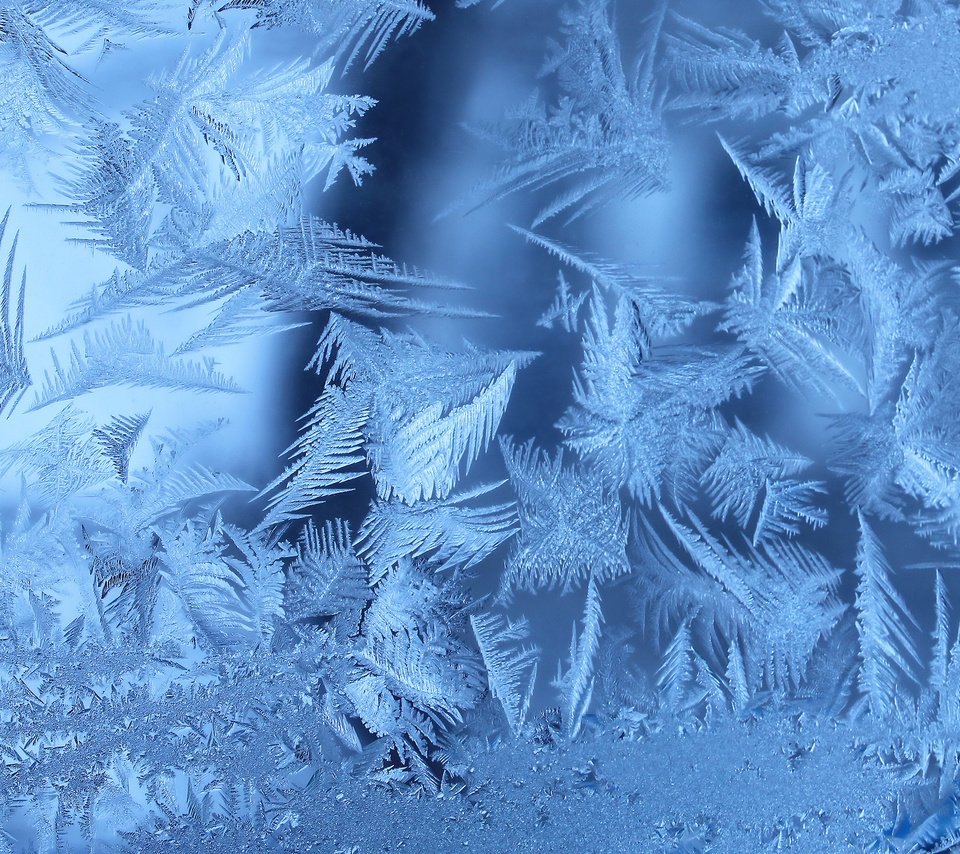 Обои зима, иней, окно, морозно, замерзла, winter, frost, window, frosty, frozen разрешение 2560x1600 Загрузить