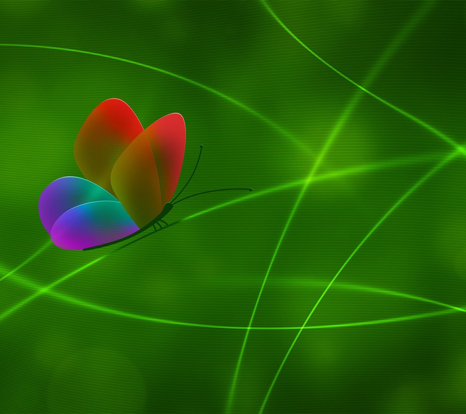 Обои линии, зелёный, цвет, бабочка, line, green, color, butterfly разрешение 2560x1600 Загрузить