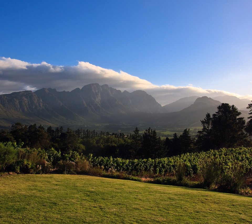 Обои горы, африка, виноградник, mountains, africa, vineyard разрешение 2560x1600 Загрузить