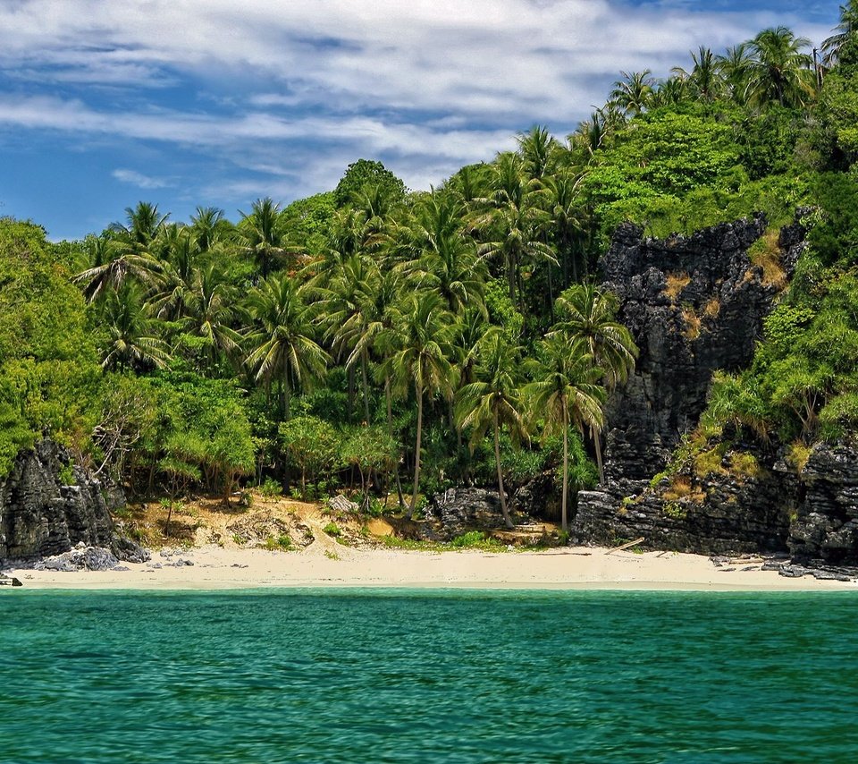 Обои пляж, пальмы, в укромном месте, beach, palm trees, in a secluded place разрешение 1920x1200 Загрузить