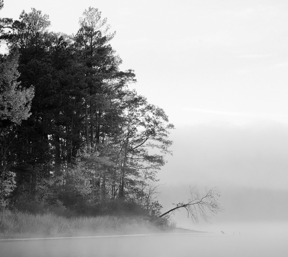 Обои деревья, вода, озеро, лес, туман, чёрно-белое, черно-белая, trees, water, lake, forest, fog, black and white разрешение 1920x1200 Загрузить