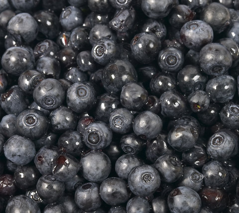 Обои черная, черника, сладкая, black, blueberries, sweet разрешение 2560x1600 Загрузить