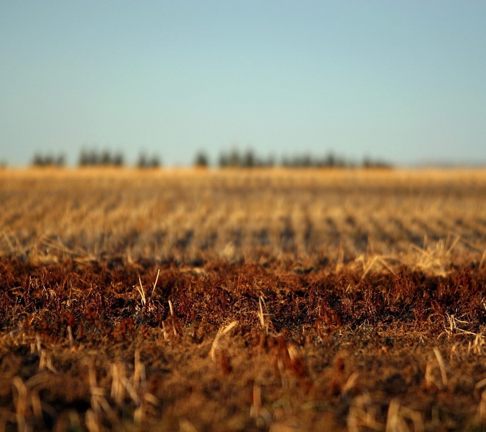 Обои земля, поле, осень, earth, field, autumn разрешение 1920x1440 Загрузить