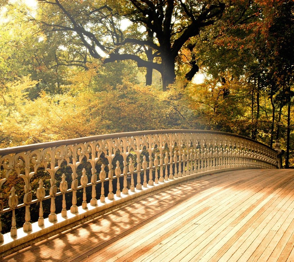 Обои деревья, мост, осень, trees, bridge, autumn разрешение 2000x1376 Загрузить