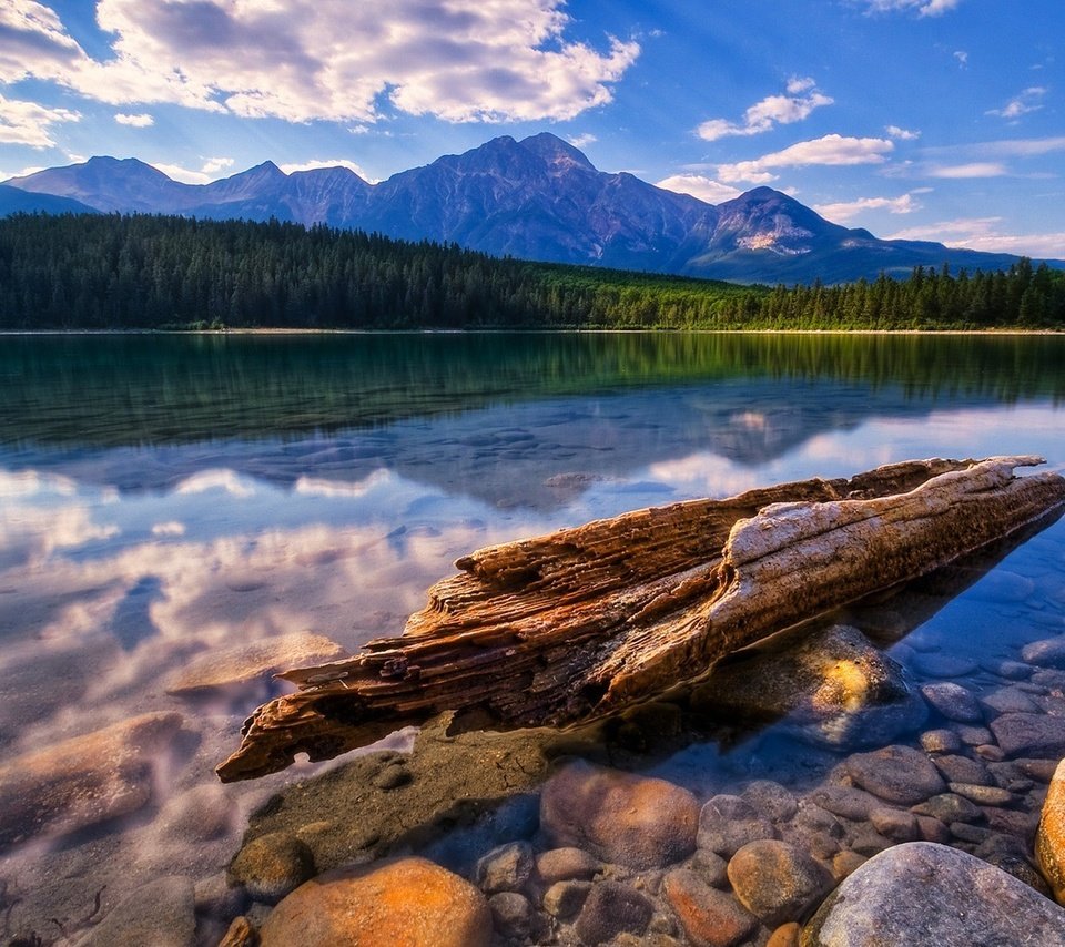 Обои озеро, горы, бревно, lake, mountains, log разрешение 1920x1200 Загрузить