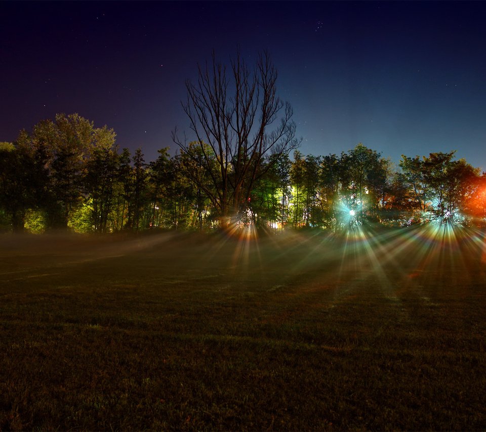 Обои свет, леса, ночь, деревья, огни, фото, лучи, поле, пейзажи, light, forest, night, trees, lights, photo, rays, field, landscapes разрешение 1920x1200 Загрузить