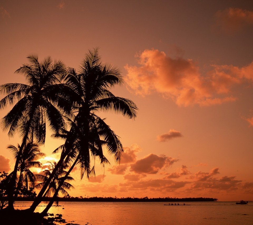 Обои закат, пальмы, отпуск, sunset, palm trees, vacation разрешение 1920x1440 Загрузить