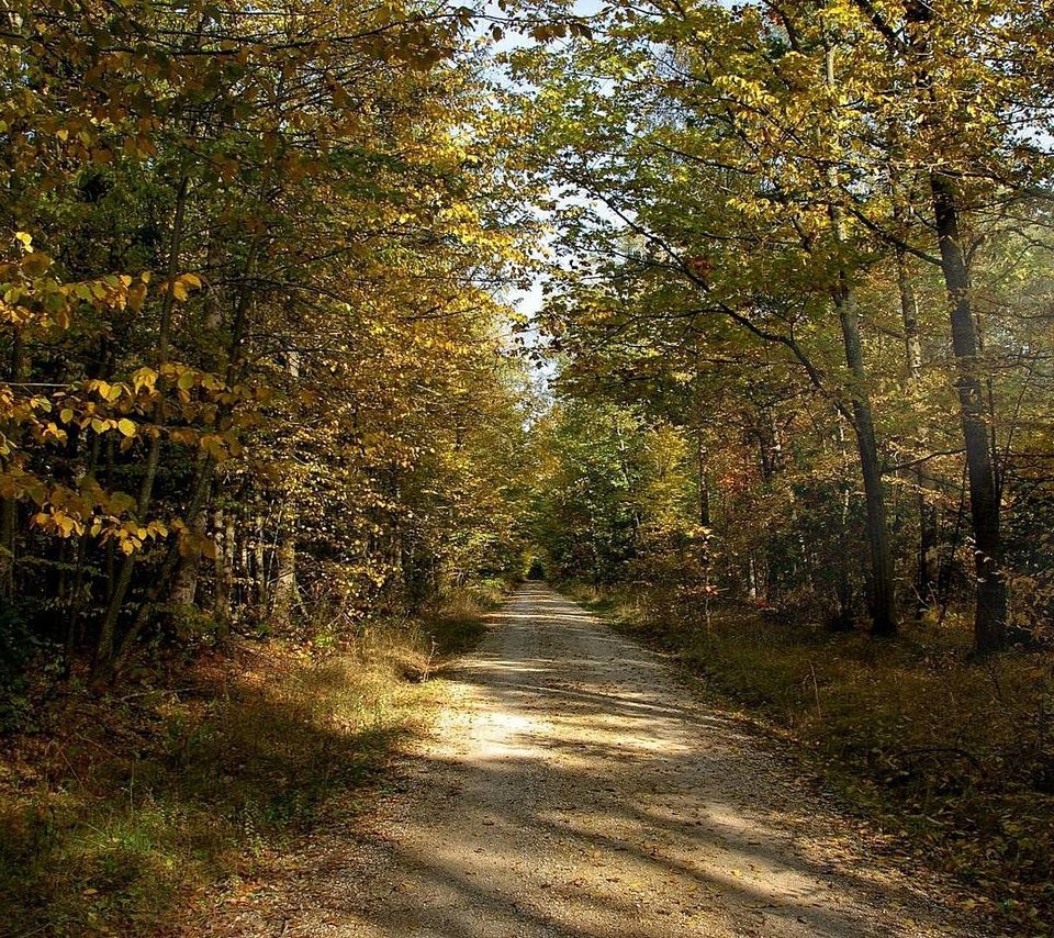 Обои дорога, солнце, лес, лучи, осень, грунтовая, road, the sun, forest, rays, autumn разрешение 1920x1080 Загрузить
