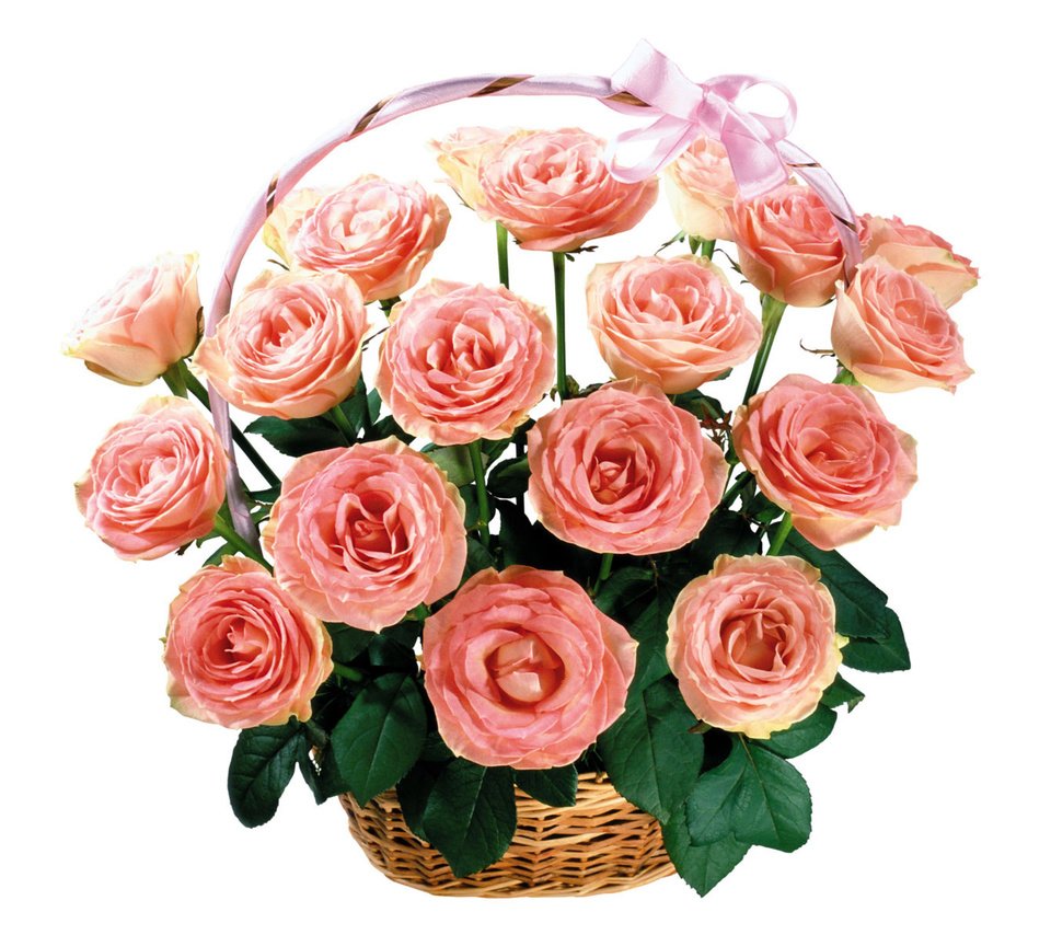 Обои цветы, розы, букет, корзинка, flowers, roses, bouquet, basket разрешение 1920x1200 Загрузить
