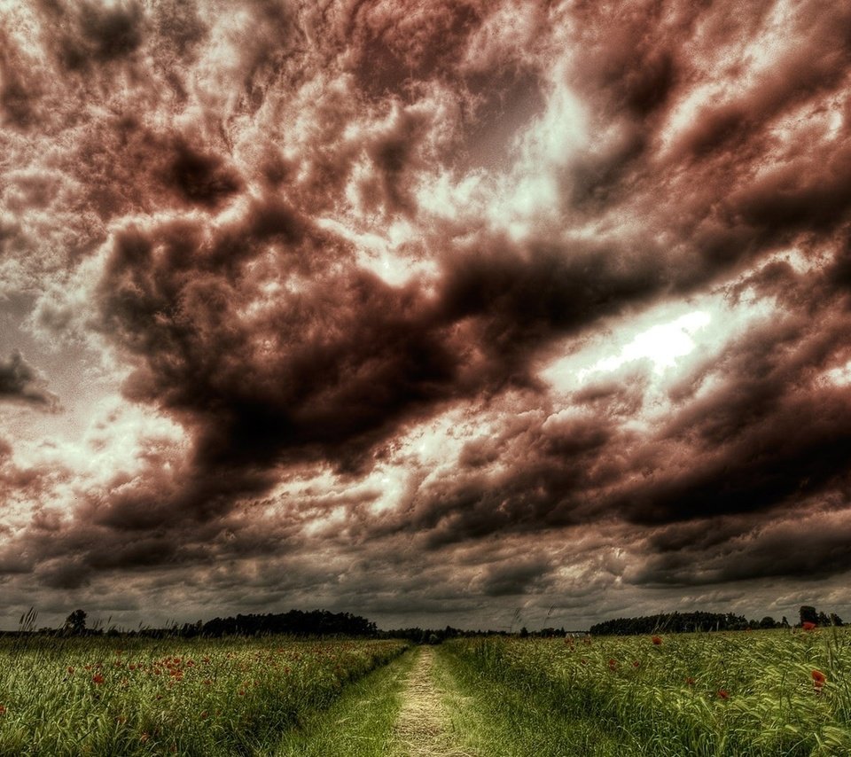 Обои небо, дорога, цветы, трава, деревья, тучи, поле, the sky, road, flowers, grass, trees, clouds, field разрешение 1920x1080 Загрузить